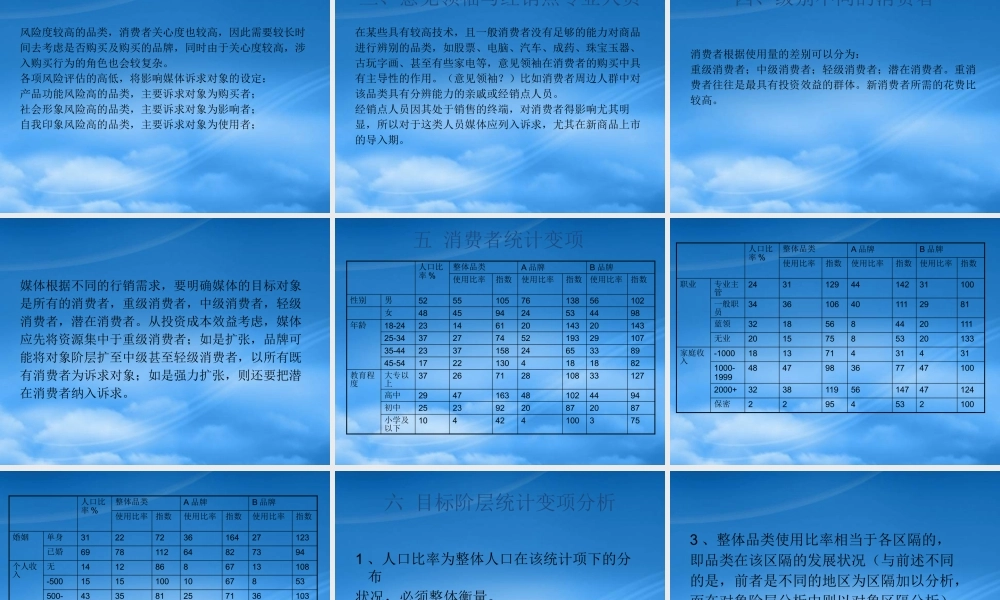 媒介目标及目标阶层设定