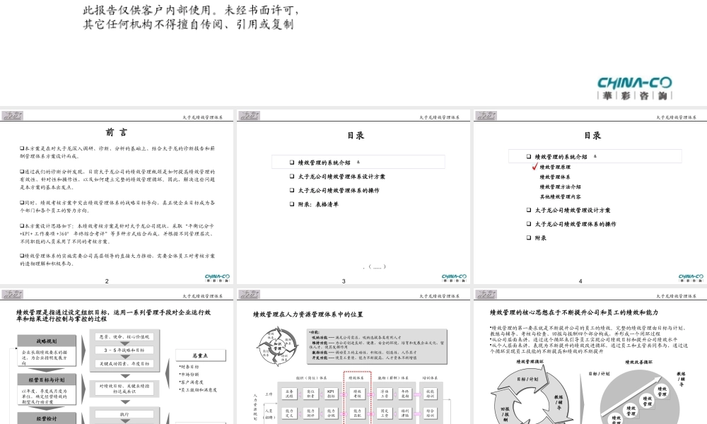 太子龙公司绩效管理体系报告