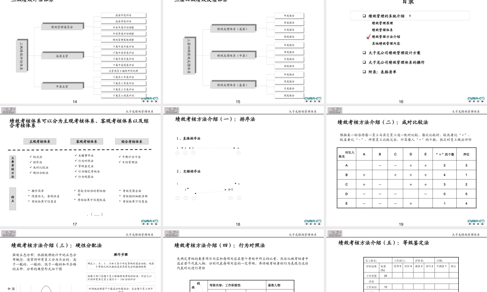 太子龙公司绩效管理体系报告