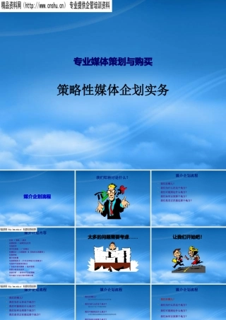 媒介企划流程分析报告