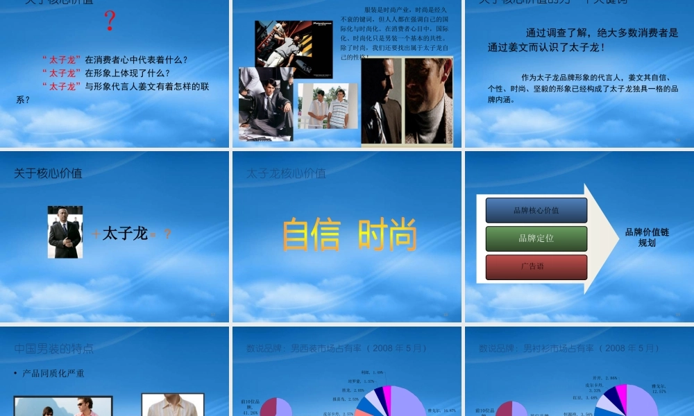 太子龙品牌规划方案