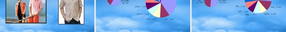 太子龙品牌规划方案