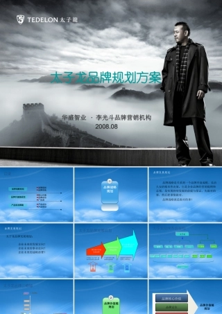 太子龙品牌规划方案