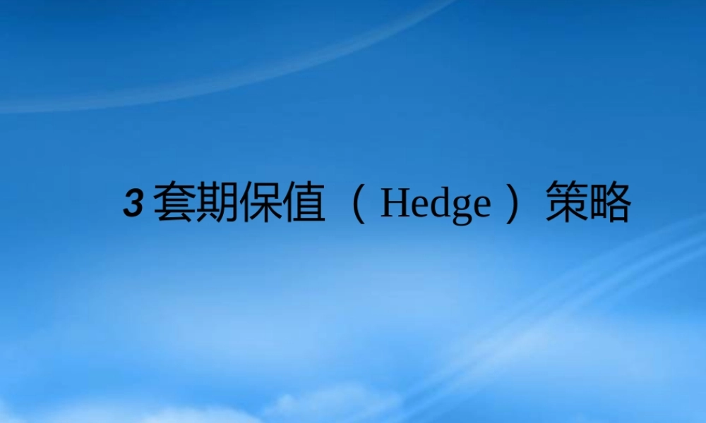 套期保值策略课件