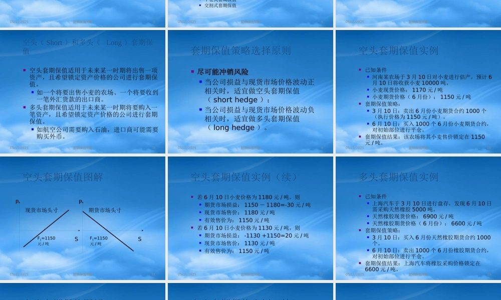 套期保值策略课件