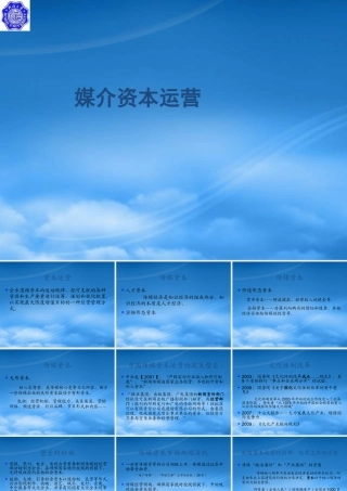 媒介资本运营33421576