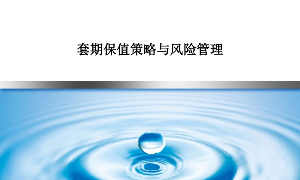 套期保值策略与风险管理ppt