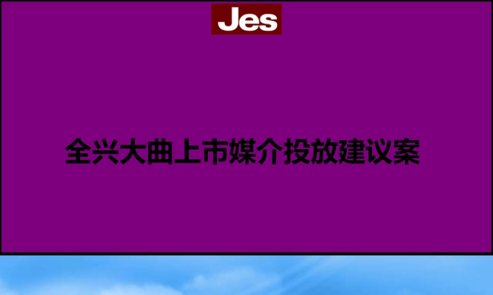 媒介组合策略投放分析