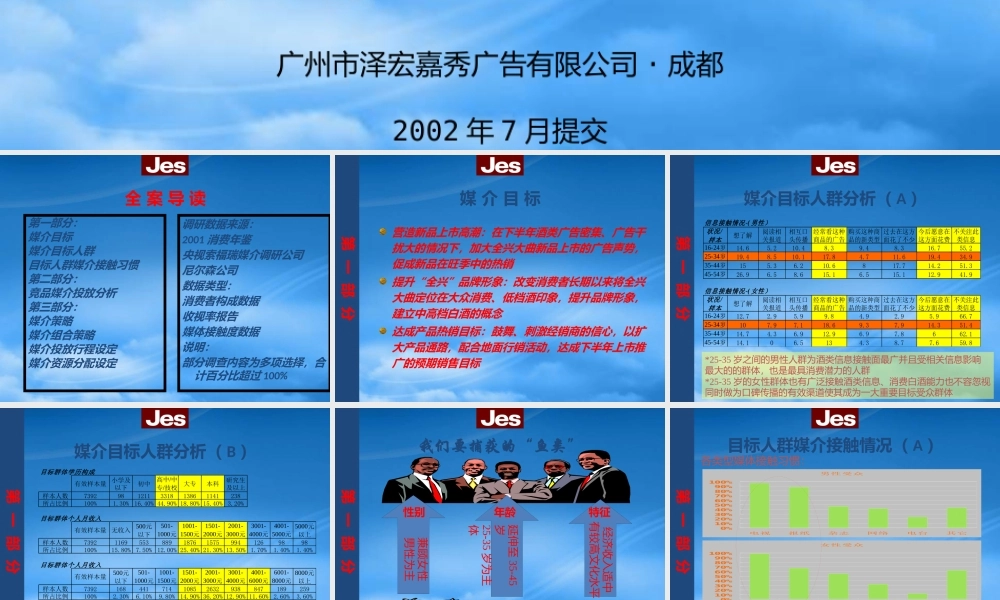 媒介组合策略投放分析