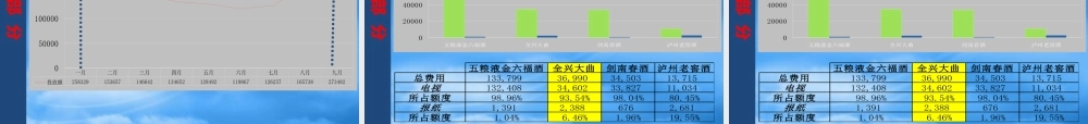 媒介组合策略投放分析
