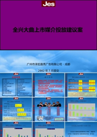 媒介组合策略投放分析