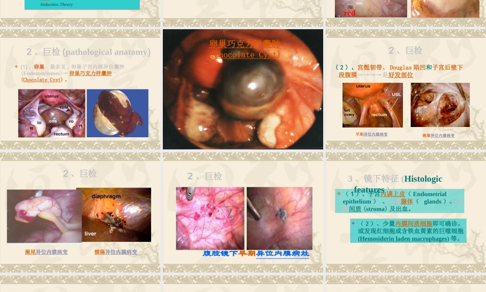 妊娠高血压综合征的诊断和治疗