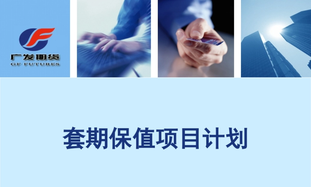 套期保值项目计划方案