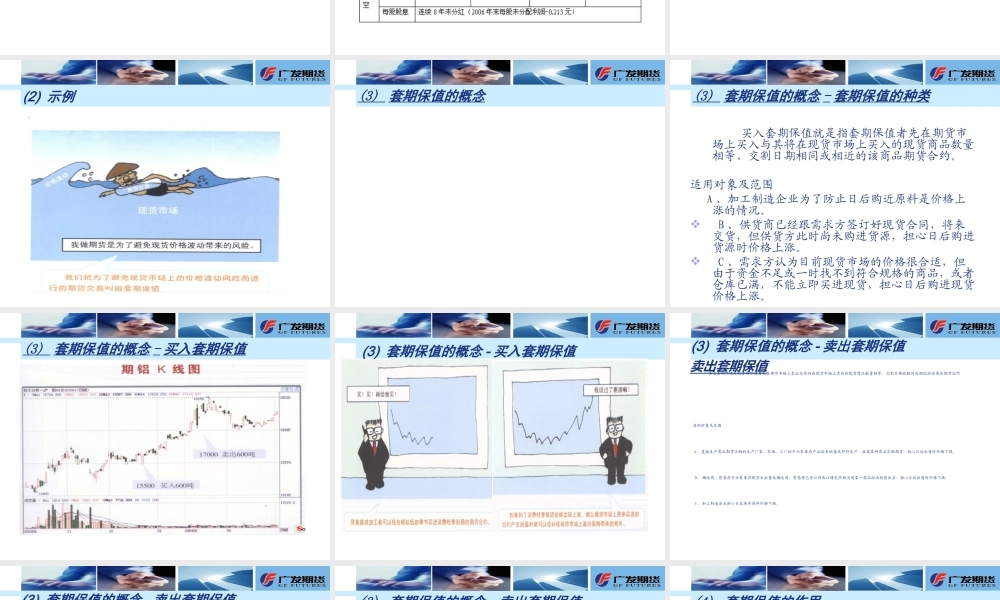 套期保值项目计划方案