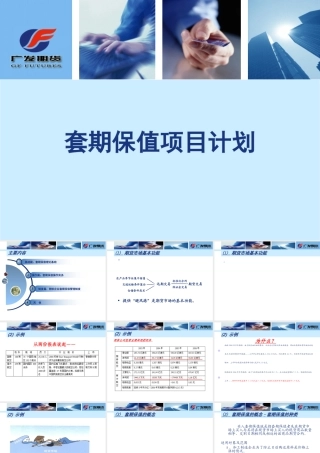 套期保值项目计划方案
