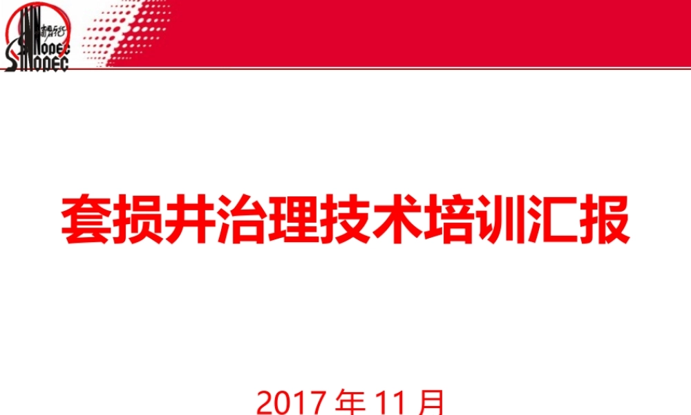 套损井治理技术培训汇报