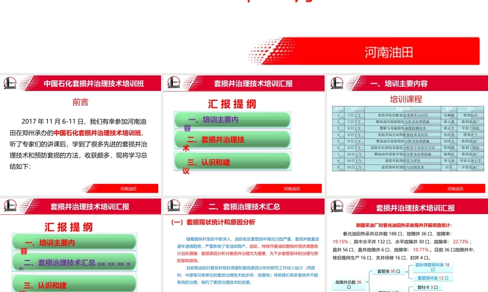 套损井治理技术培训汇报
