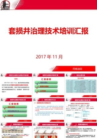 套损井治理技术培训汇报