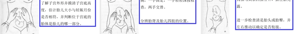 妊娠期护理评估及护理诊断
