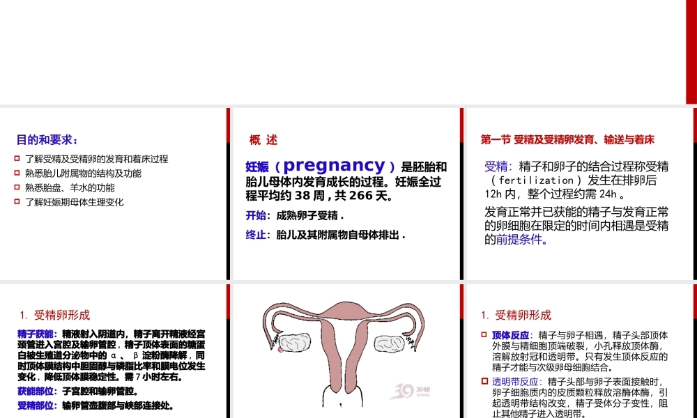 妊娠生理、诊断