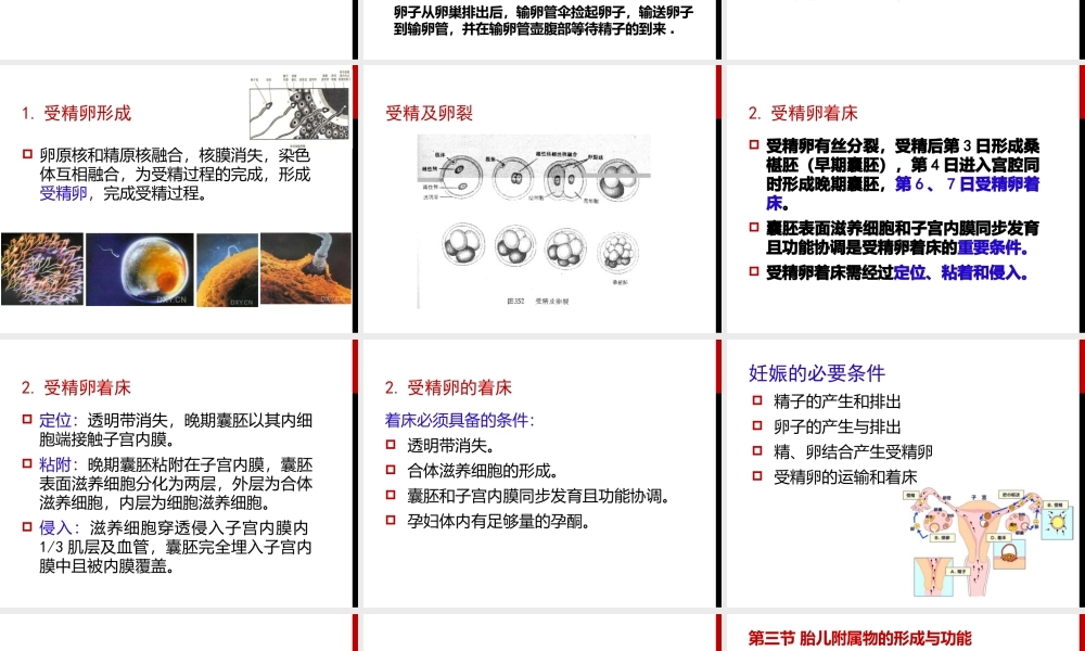 妊娠生理、诊断