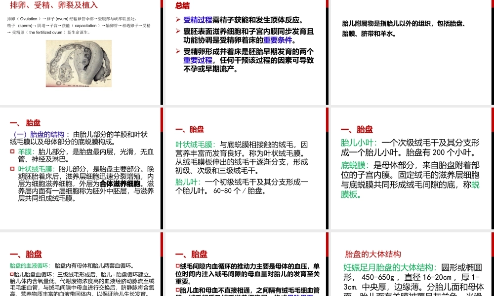 妊娠生理、诊断