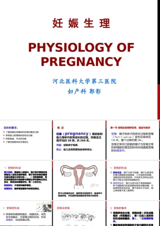 妊娠生理、诊断
