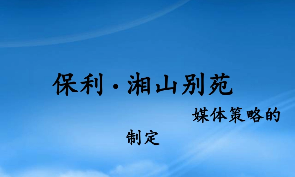 媒体策略的制定