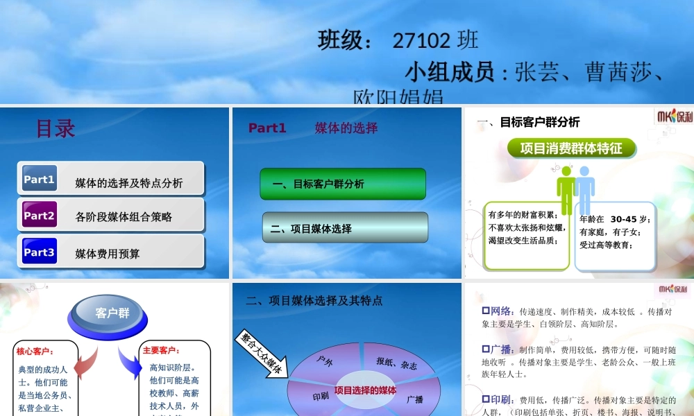 媒体策略的制定