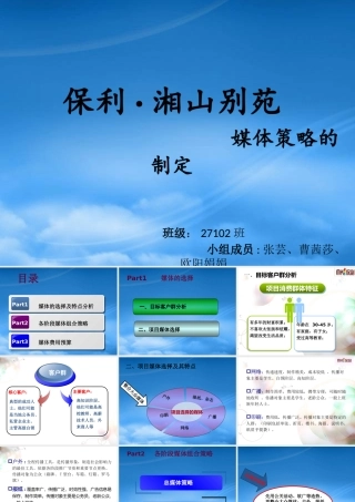 媒体策略的制定