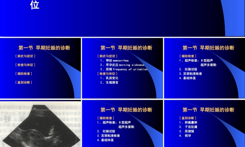 妊娠诊断-第一章女性生殖系统解剖