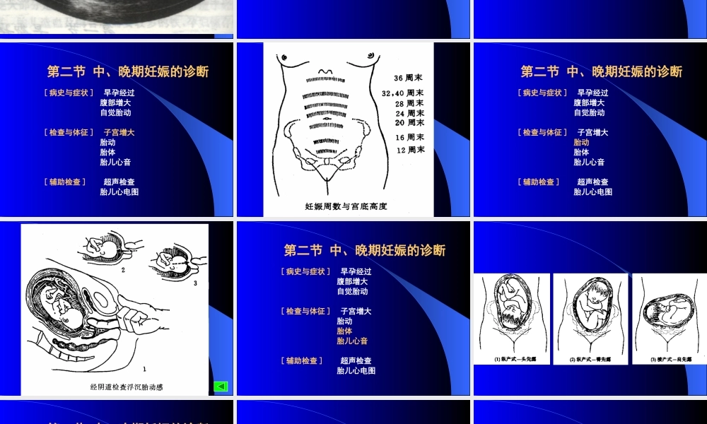 妊娠诊断-第一章女性生殖系统解剖