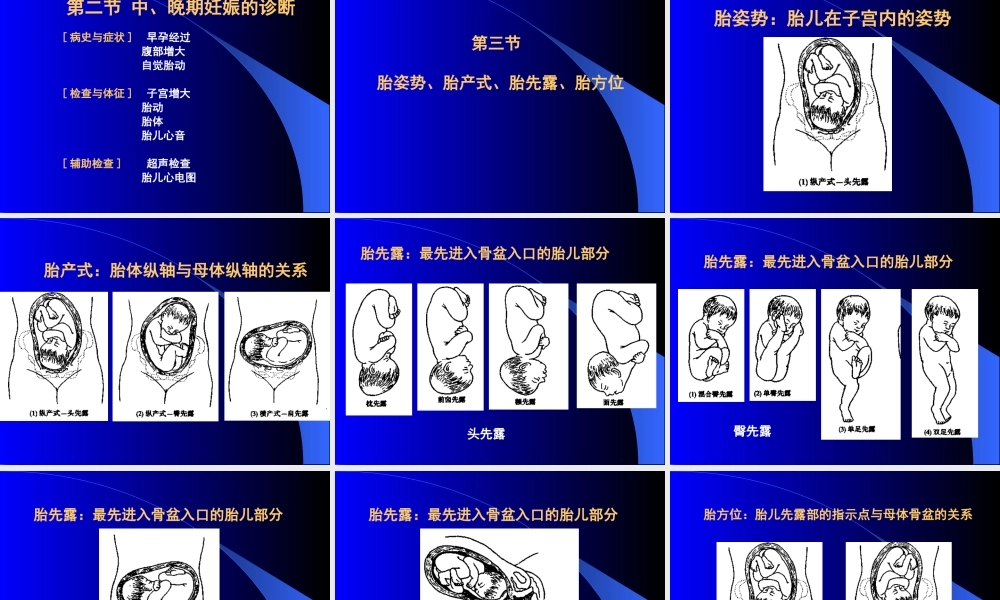 妊娠诊断-第一章女性生殖系统解剖