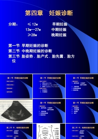 妊娠诊断-第一章女性生殖系统解剖