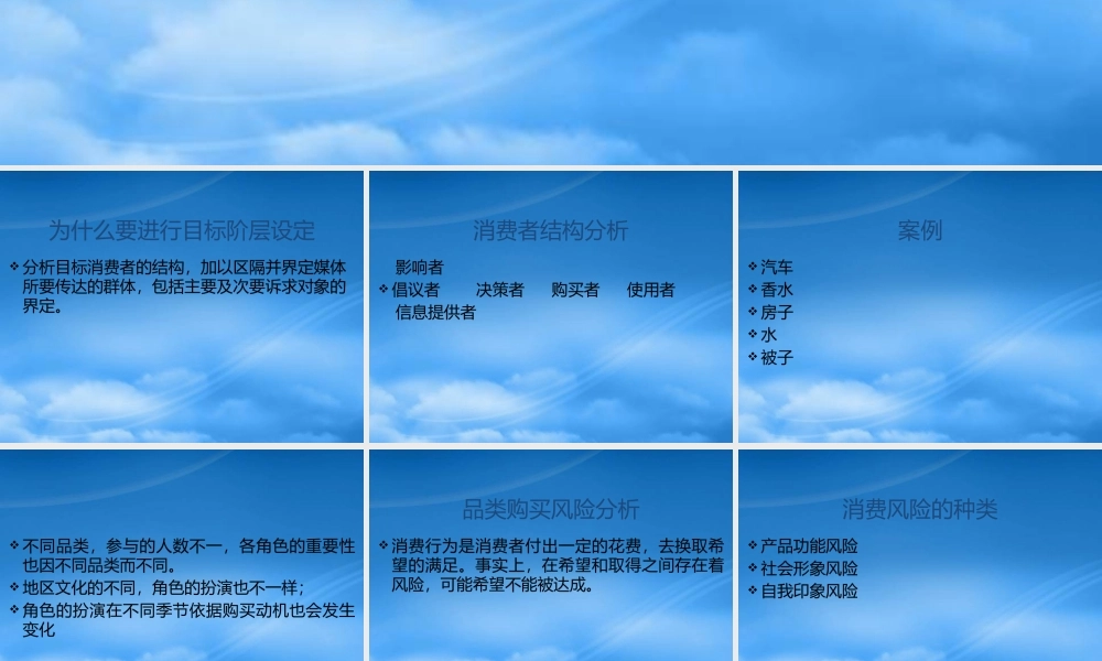媒体策略-目标阶层的设定