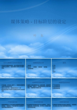 媒体策略-目标阶层的设定