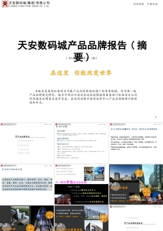 天安数码城产品品牌报告