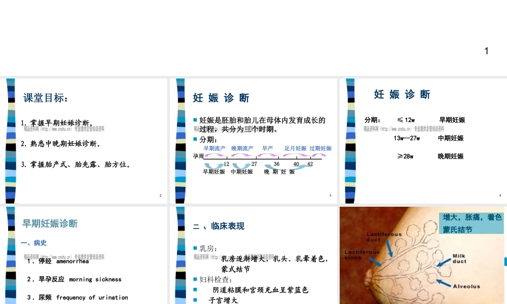 妊娠诊断基础知识讲义