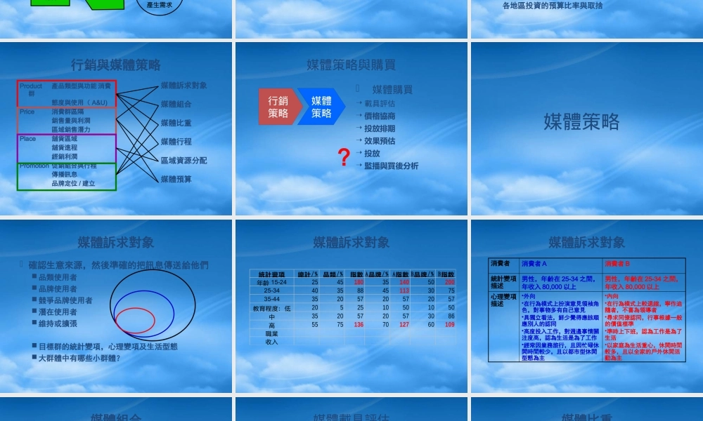 媒体策略与整合传播