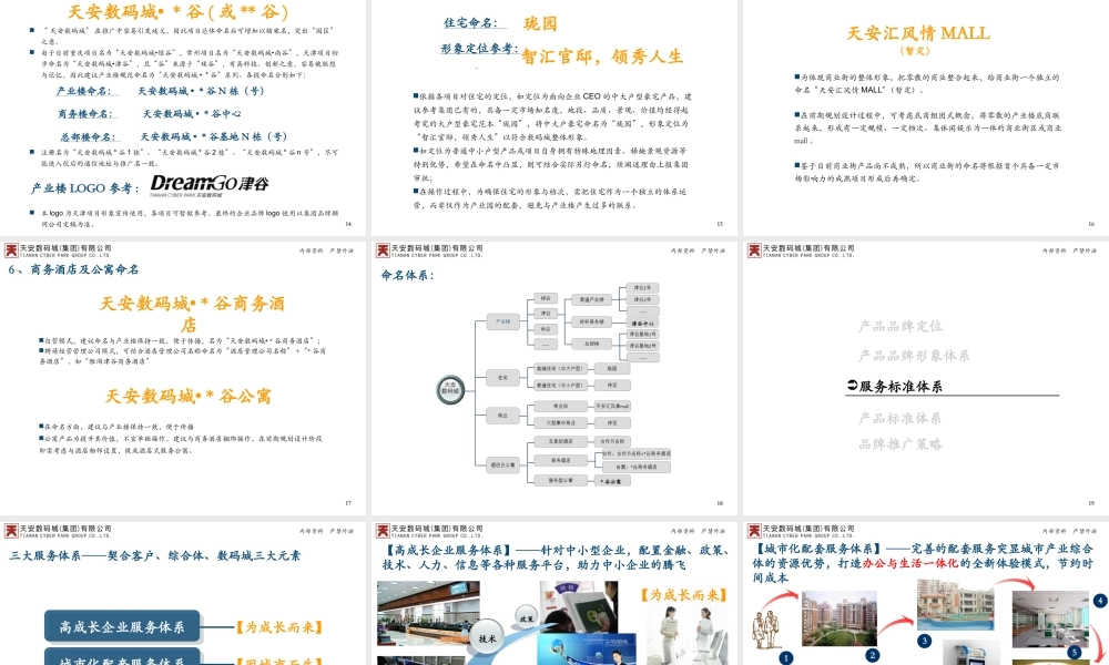 天安数码城产品品牌报告-摘要版