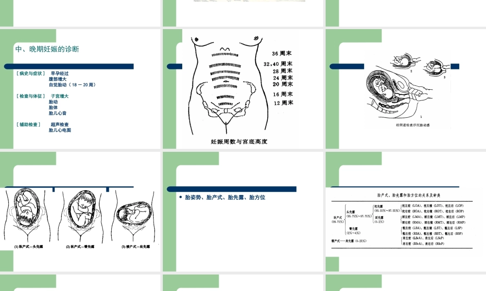 妊娠诊断及胎儿监护