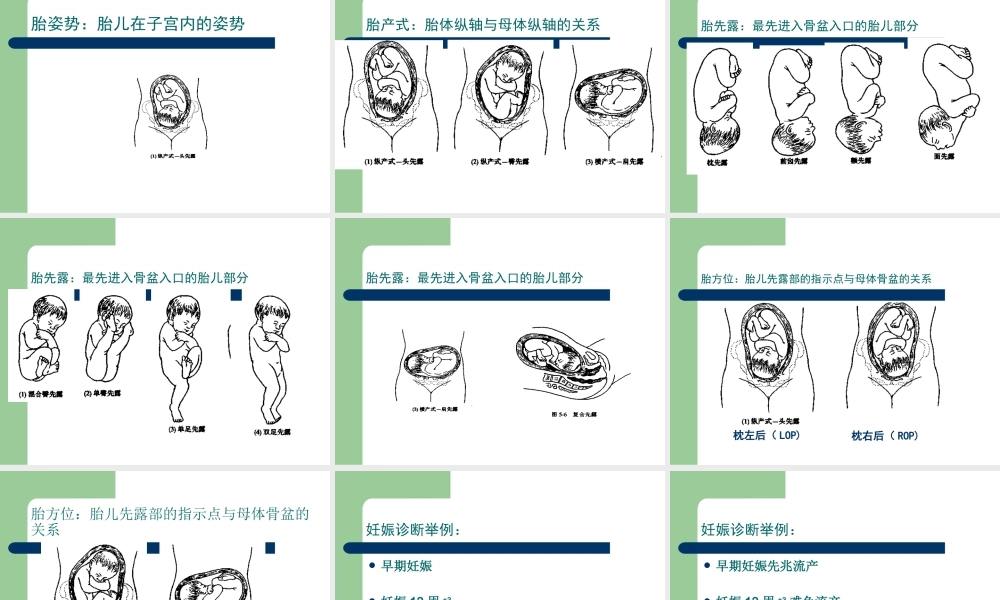 妊娠诊断及胎儿监护