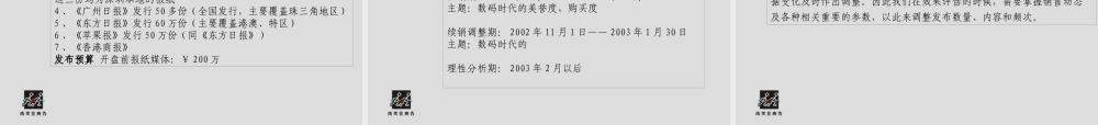 天安数码推广方案2