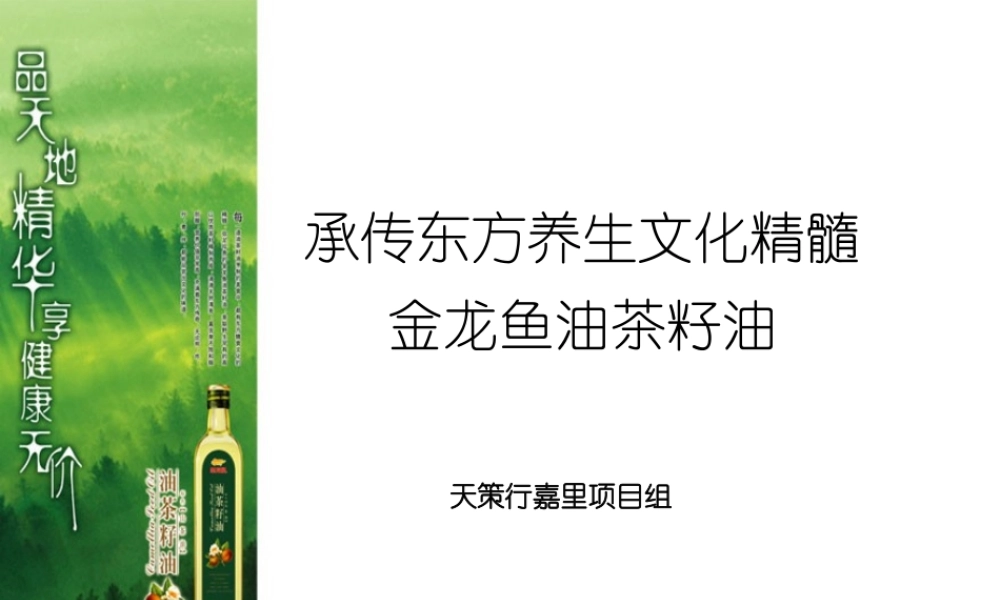 天策行-金龙鱼山茶油产品上市方案