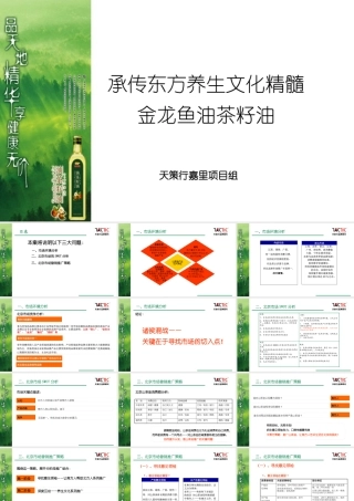 天策行-金龙鱼山茶油产品上市方案