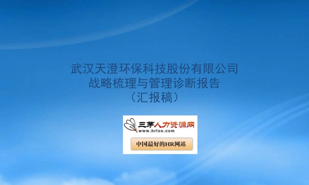 天澄战略梳理与管理诊断报告