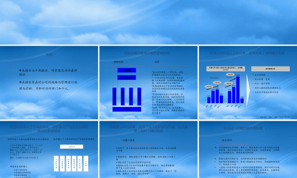 天澄战略梳理与管理诊断报告