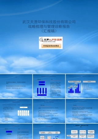 天澄战略梳理与管理诊断报告