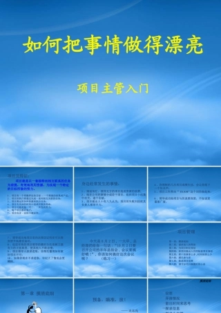 如何把事情做漂亮-项目主管入门(ppt)