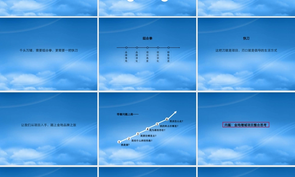 天橙广告-广州金地荔湖城项目广告策略提案194P